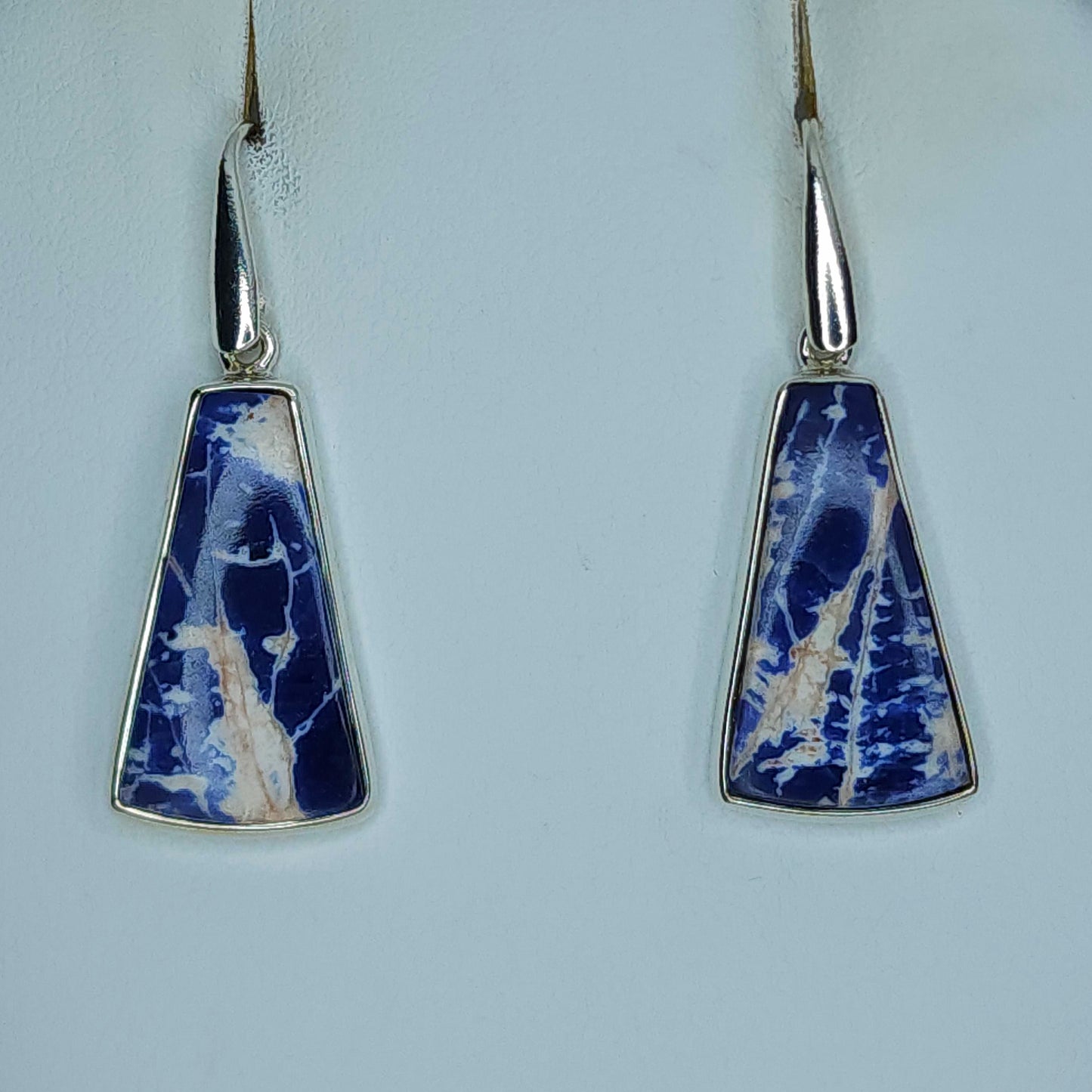 Sodalite in Silver Earrings