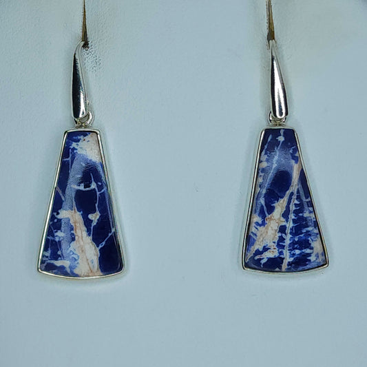 Sodalite in Silver Earrings