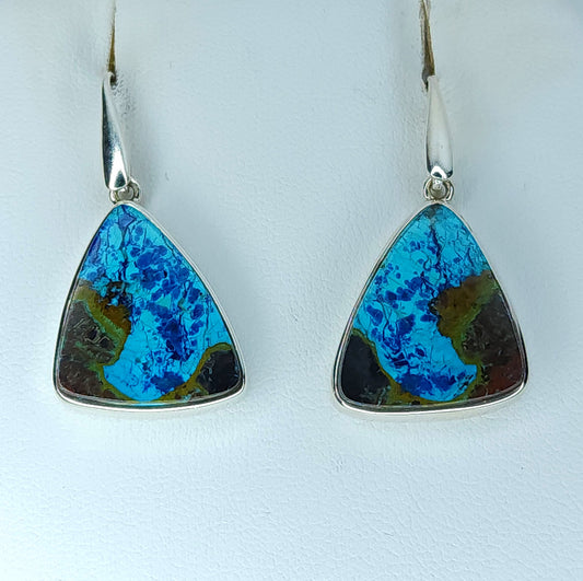 Chrysocolla with Azurite in Silver Earrings